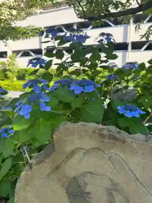 亀戸浅間神社(東京都)