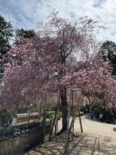 善峯寺(京都府)
