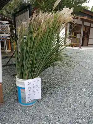 井伊谷宮のその他建物