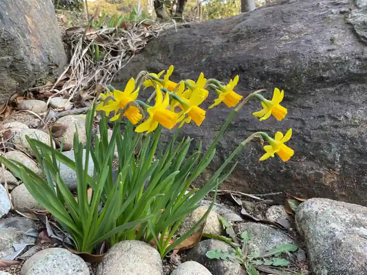 間々観音(龍音寺)(愛知県)