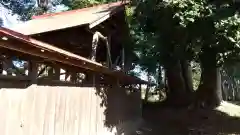 酒門神社の本殿