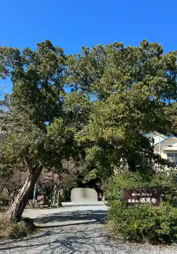 かっぱの寺 栖足寺(静岡県)