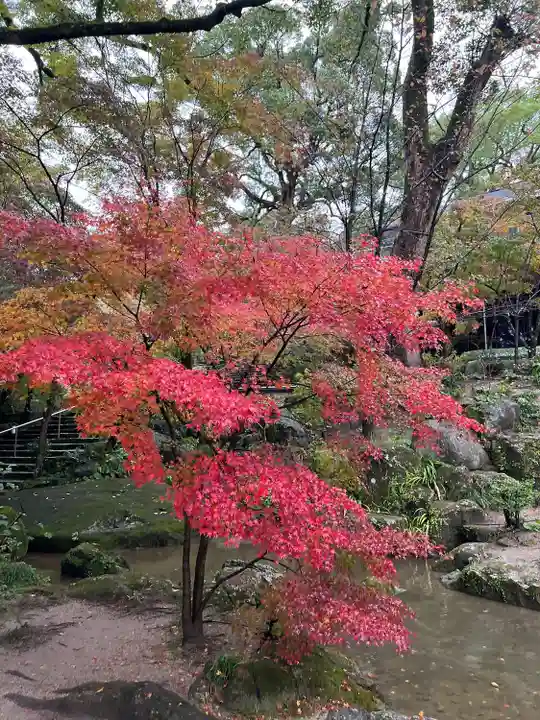 宝満宮竈門神社(福岡県)