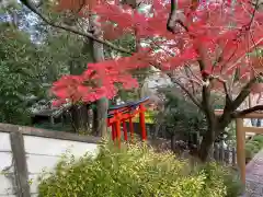 今宮神社の建物その他