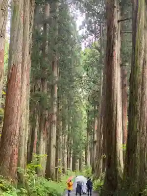 戸隠神社奥社の{uncategorized: "未分類", other: "その他", undefined: "問題あり", building: "その他建物", grave: "お墓", sacred_gate: "鳥居", guardian: "狛犬", statue: "像", buddha: "仏像", history: "歴史", nature: "自然", garden: "庭園", animal: "動物", pagoda: "塔", temizu: "手水舎", mountain_gate: "山門・神門", sanctuary: "本殿・本堂", subordinate: "末社・摂社", art: "芸術", scenery: "景色", jizo: "地蔵", ema: "絵馬", goshuin: "御朱印", omikuji: "おみくじ", items: "授与品その他", amulet: "お守り", goshuincho: "御朱印帳", eats: "食事", festival: "お祭り", votive_dance: "神楽", shichigosan: "七五三参", wedding: "結婚式", experience: "体験その他", initially: "初詣", around: "周辺", anti_infection: "感染症対策"}
