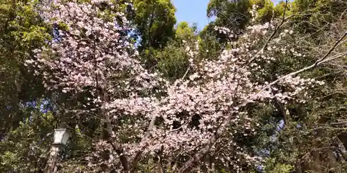 鶴岡八幡宮(神奈川県)