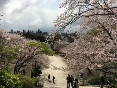 光雲神社(福岡県)