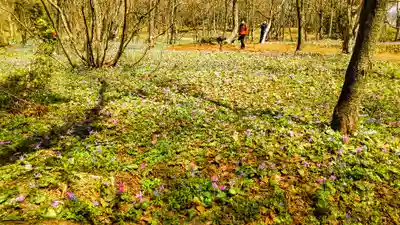 浦臼神社の自然