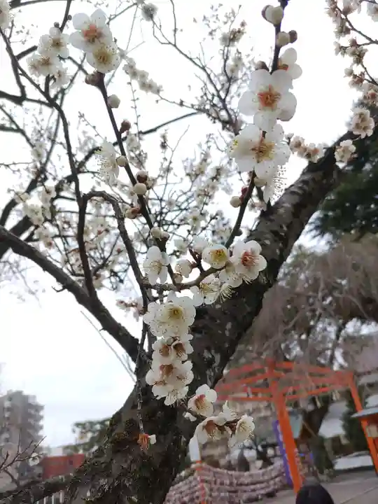 榴岡天満宮の自然