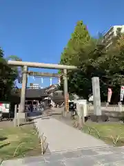 浅草神社の鳥居