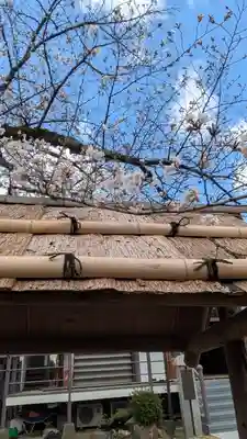 欣浄寺(京都府)