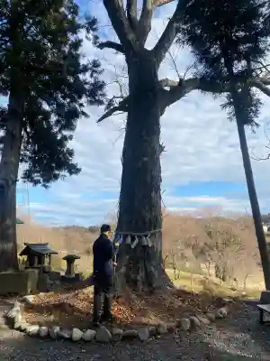 阿久津「田村神社」（郡山市阿久津町）旧社名：伊豆箱根三嶋三社(福島県)