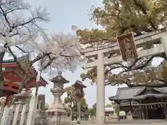 百舌鳥八幡宮(大阪府)