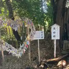 座間神社(神奈川県)