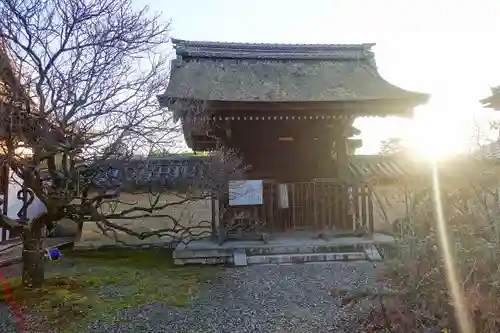 梅宮大社の山門