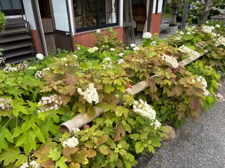 極楽寺(静岡県)