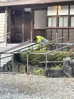 国上寺(新潟県)