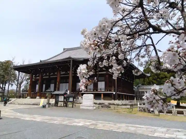くろ谷 金戒光明寺(京都府)