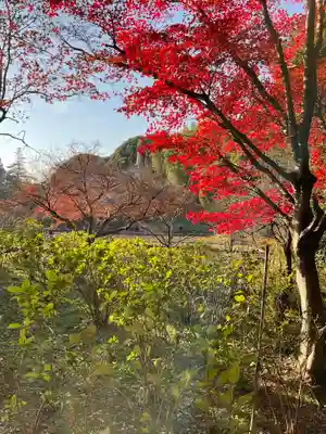 本土寺(千葉県)