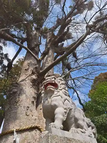 比々多神社元宮(神奈川県)