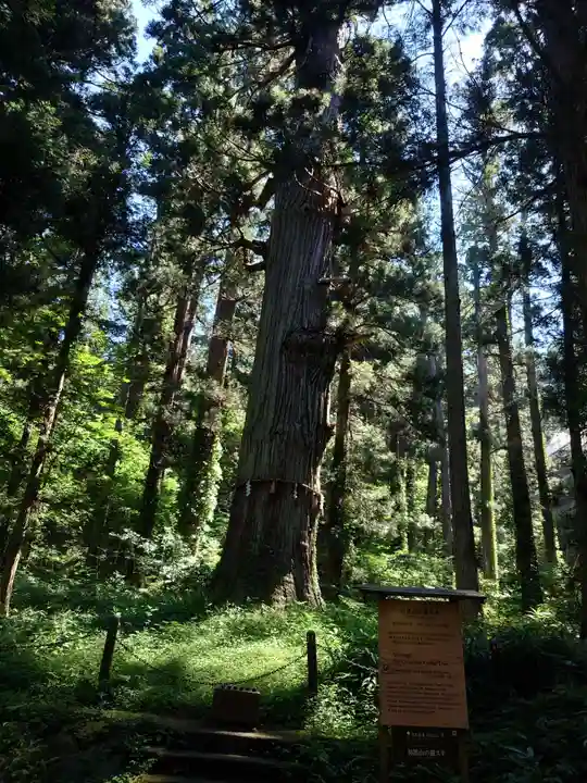 出羽神社(出羽三山神社)~三神合祭殿~(山形県)