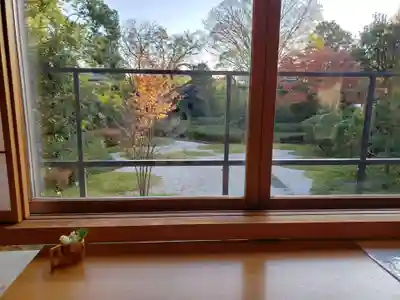 源光寺(回向院市川別院)の景色