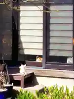 智光院(東京都)