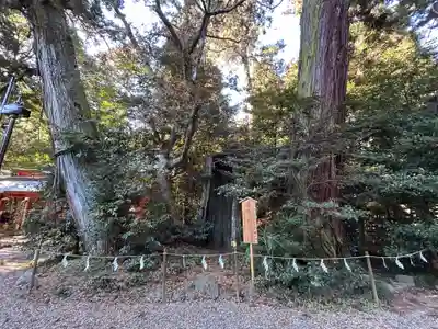 香取神宮(千葉県)