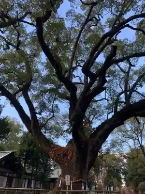 伊曽乃神社(愛媛県)