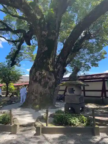 鹿児島神社(鹿児島県)
