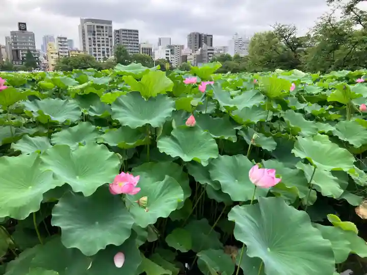 寛永寺不忍池弁天堂(東京都)