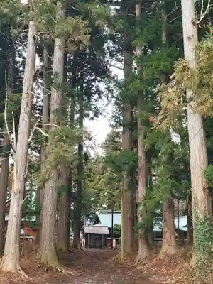 櫛引八幡宮(青森県)