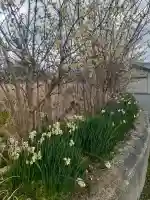 風の森神社の{uncategorized: "未分類", other: "その他", undefined: "問題あり", building: "その他建物", grave: "お墓", sacred_gate: "鳥居", guardian: "狛犬", statue: "像", buddha: "仏像", history: "歴史", nature: "自然", garden: "庭園", animal: "動物", pagoda: "塔", temizu: "手水舎", mountain_gate: "山門・神門", sanctuary: "本殿・本堂", subordinate: "末社・摂社", art: "芸術", scenery: "景色", jizo: "地蔵", ema: "絵馬", goshuin: "御朱印", omikuji: "おみくじ", items: "授与品その他", amulet: "お守り", goshuincho: "御朱印帳", eats: "食事", festival: "お祭り", votive_dance: "神楽", shichigosan: "七五三参", wedding: "結婚式", experience: "体験その他", initially: "初詣", around: "周辺", anti_infection: "感染症対策"}