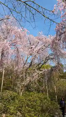 龍安寺(京都府)