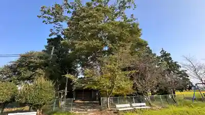 田中神社(滋賀県)