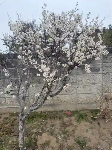 羽生天神社(宮城県)