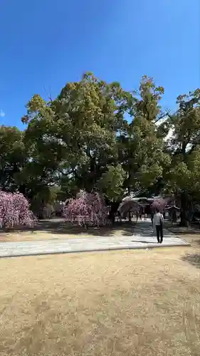 屯倉神社(大阪府)