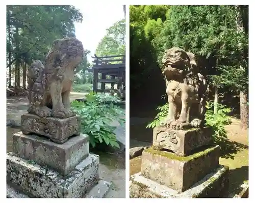 鳥海山大物忌神社蕨岡口ノ宮の狛犬