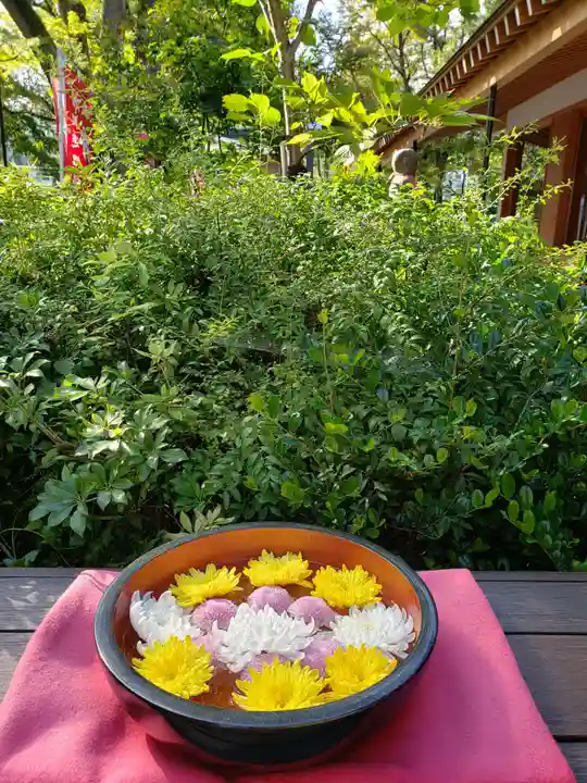 増上寺塔頭 三縁山 宝珠院(東京都)