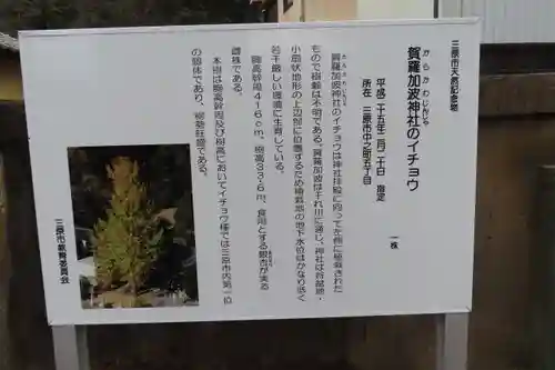 賀羅加波神社の歴史