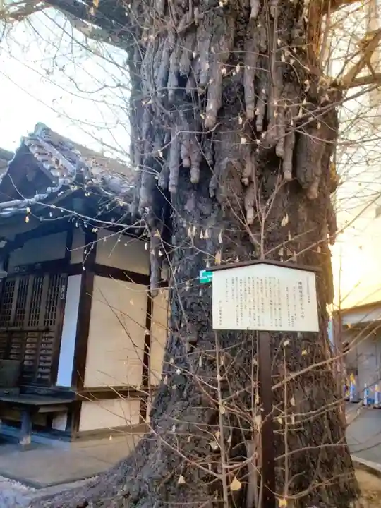 稼穡稲荷社(東京都)