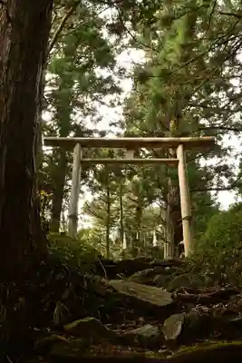 高峯神社(高知県)