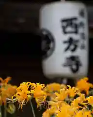 横浜　西方寺(神奈川県)