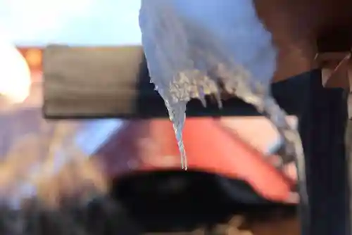 大鏑神社の自然