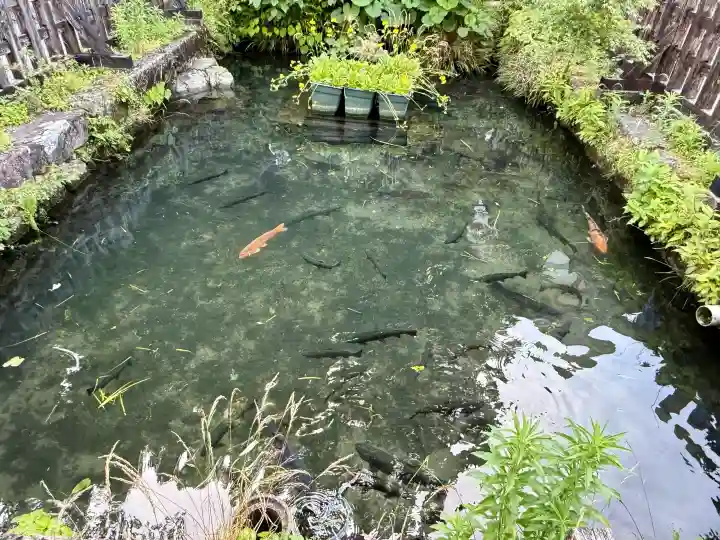 英彦山神宮(福岡県)