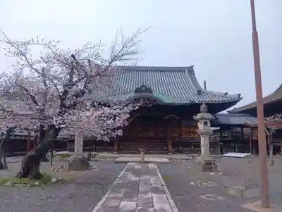 曼陀羅寺(愛知県)