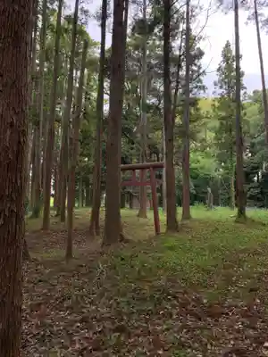 権現様(千葉県)