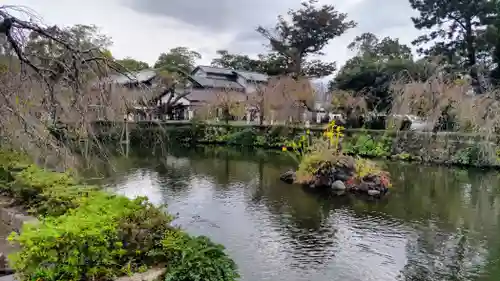 三嶋大社(静岡県)