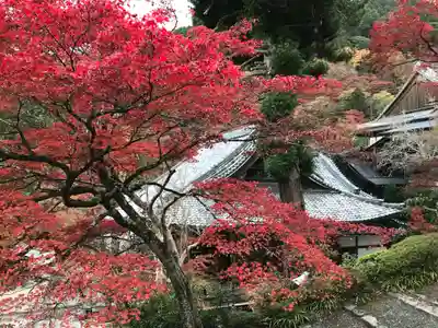 善峯寺(京都府)