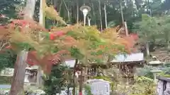 松尾大社の庭園